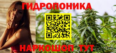 spice Мариинск