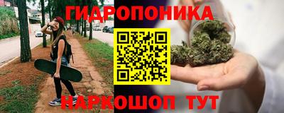 spice Мариинск